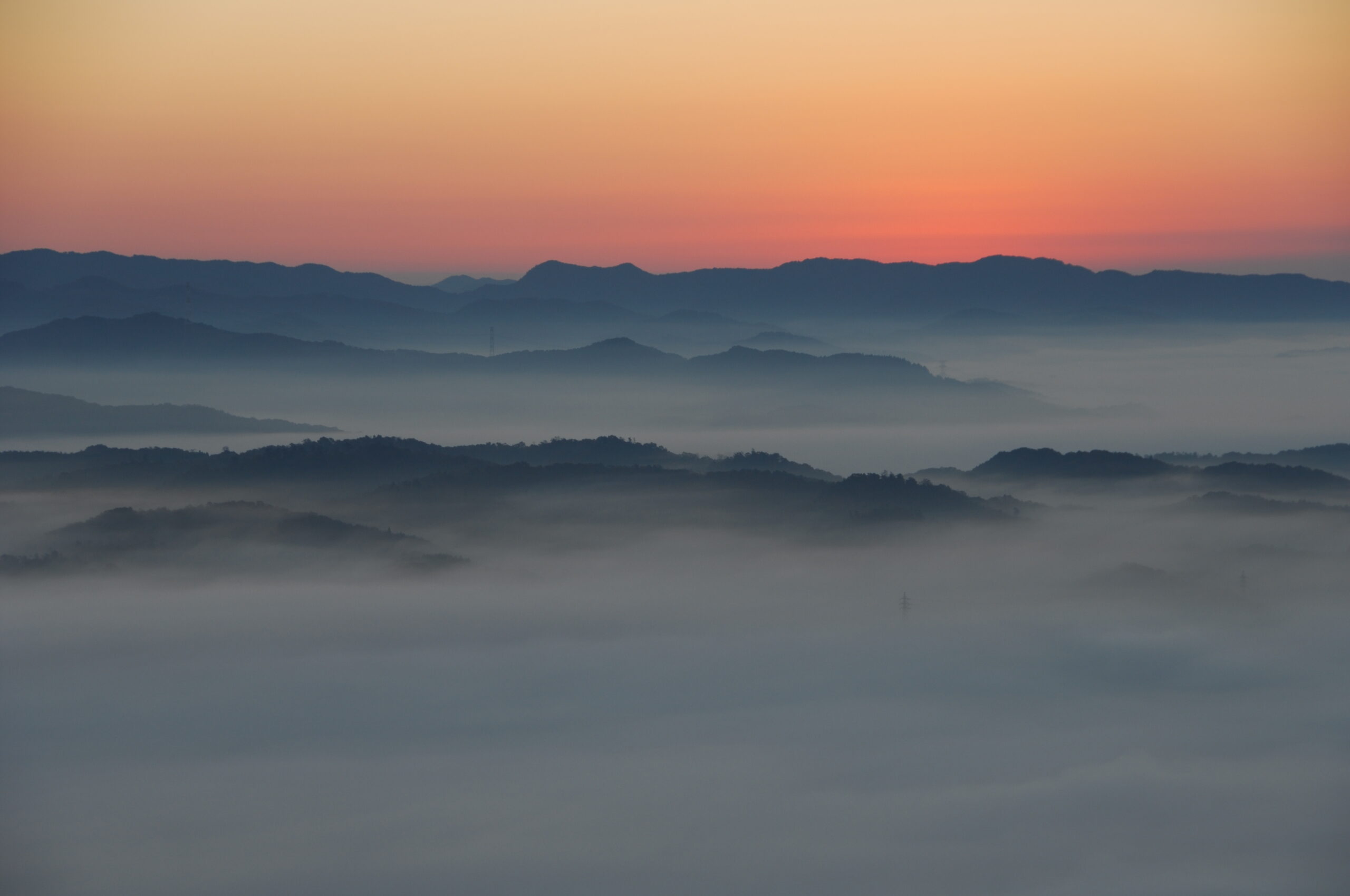 大撫山の朝霧