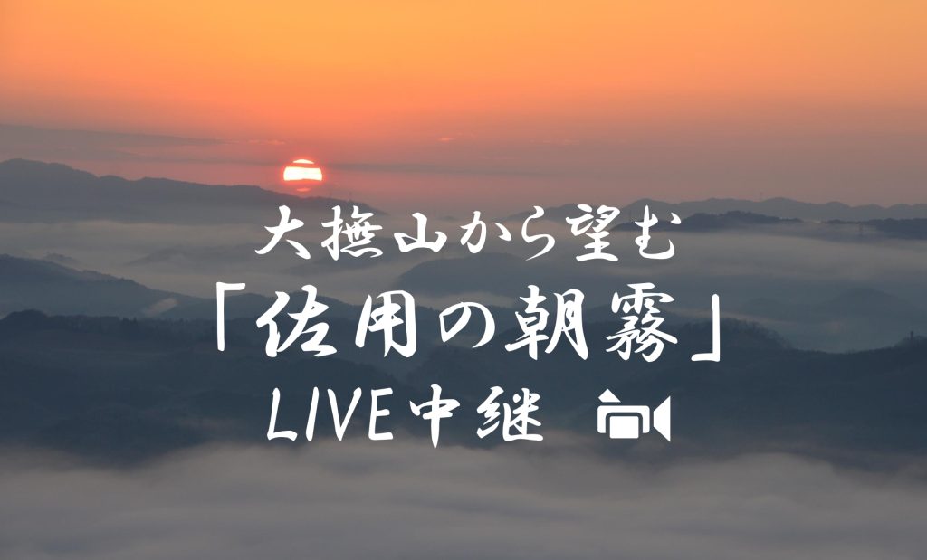 「大撫山の朝霧」をライブ中継で見られます