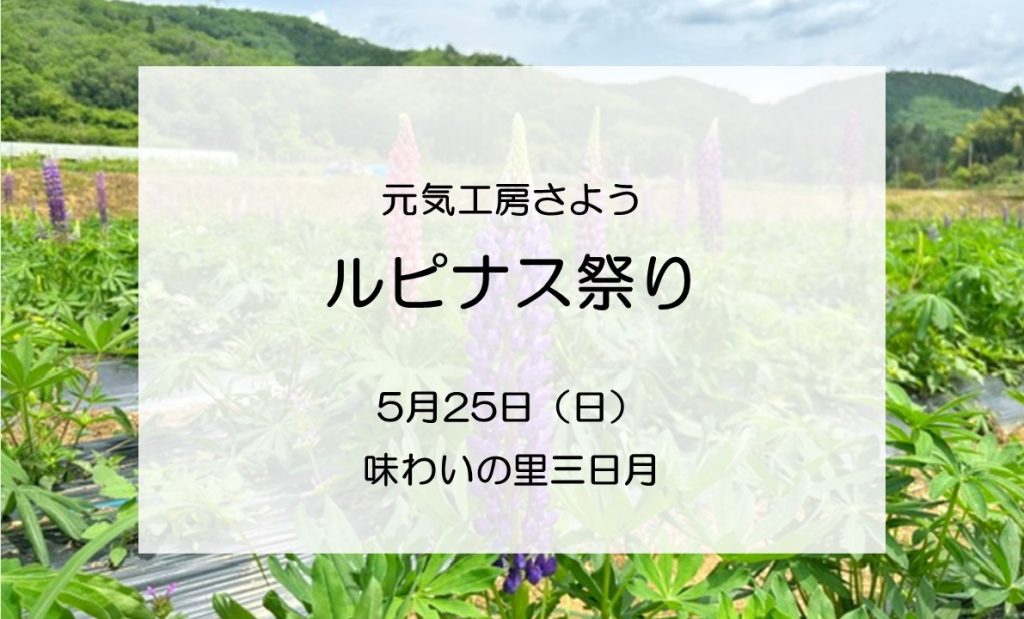 【5/25】ルピナス祭り